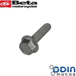 43- TORNILLO 5X20 LLAVE 8rs RR-4T